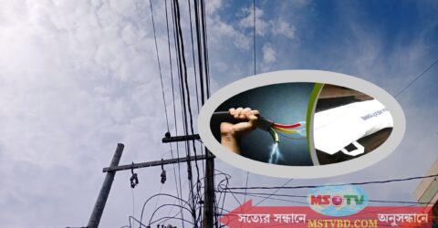 চাপাইনবাবগঞ্জে বিদ্যুতের খুঁটিতে খেলতে উঠে দুই শিশুর মৃত্যু