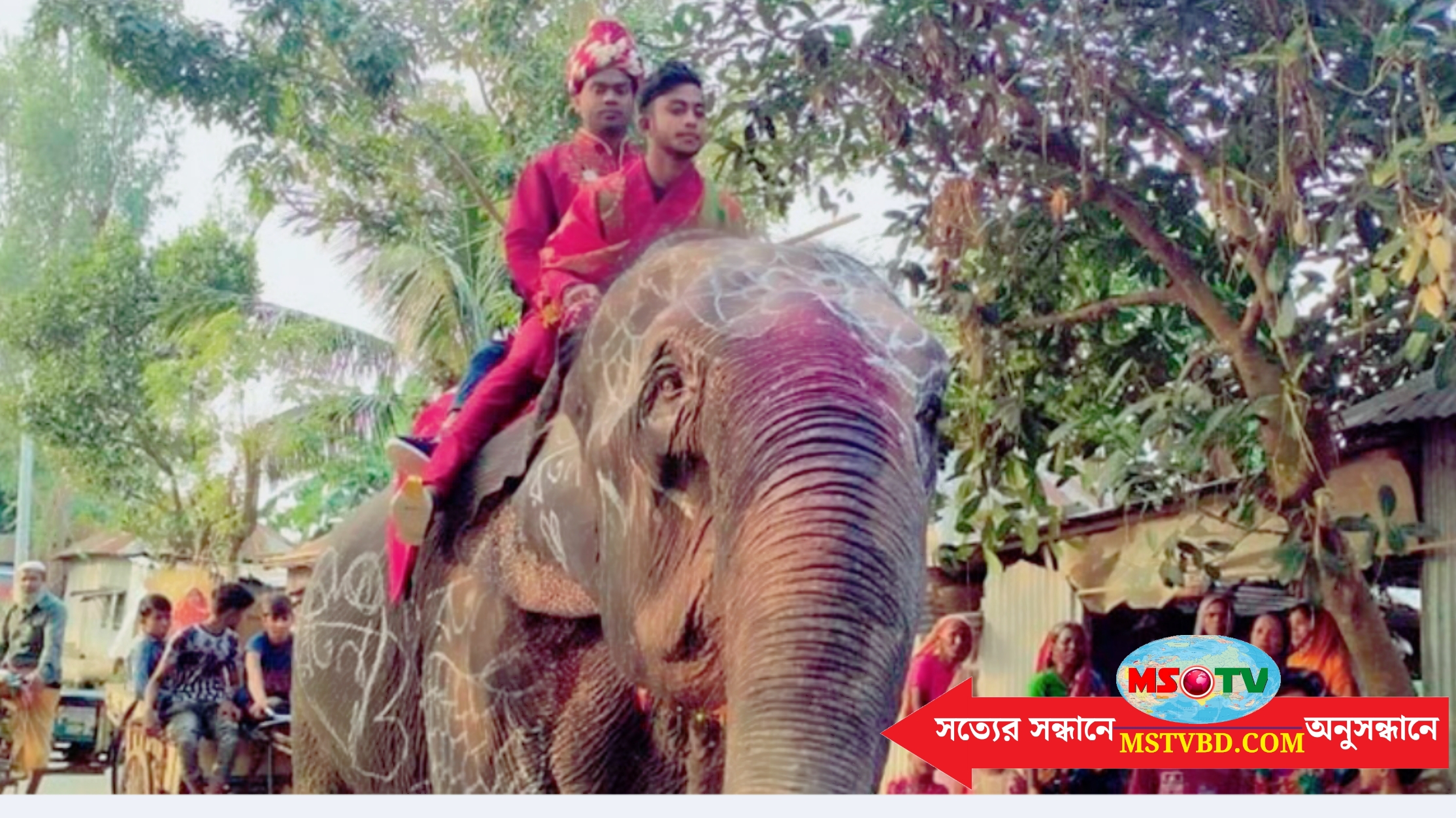 আড়াই হাজার সহযাত্রী ও হাতির পিঠে চড়ে বিয়ে করতে গেলেন বর