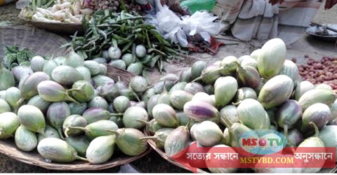 নওগাঁয় বেগুনের কেজি ৫ টাকা