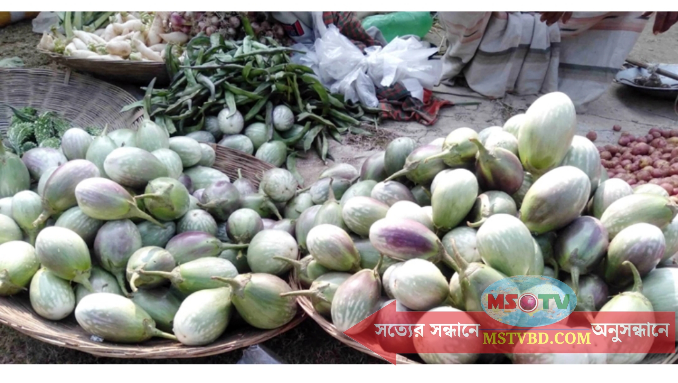নওগাঁয় বেগুনের কেজি ৫ টাকা