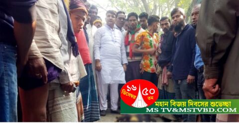 ফরিদপুরে পিকআপ-অটোরিকশা সংঘর্ষে দাদি-নাতনি নিহত