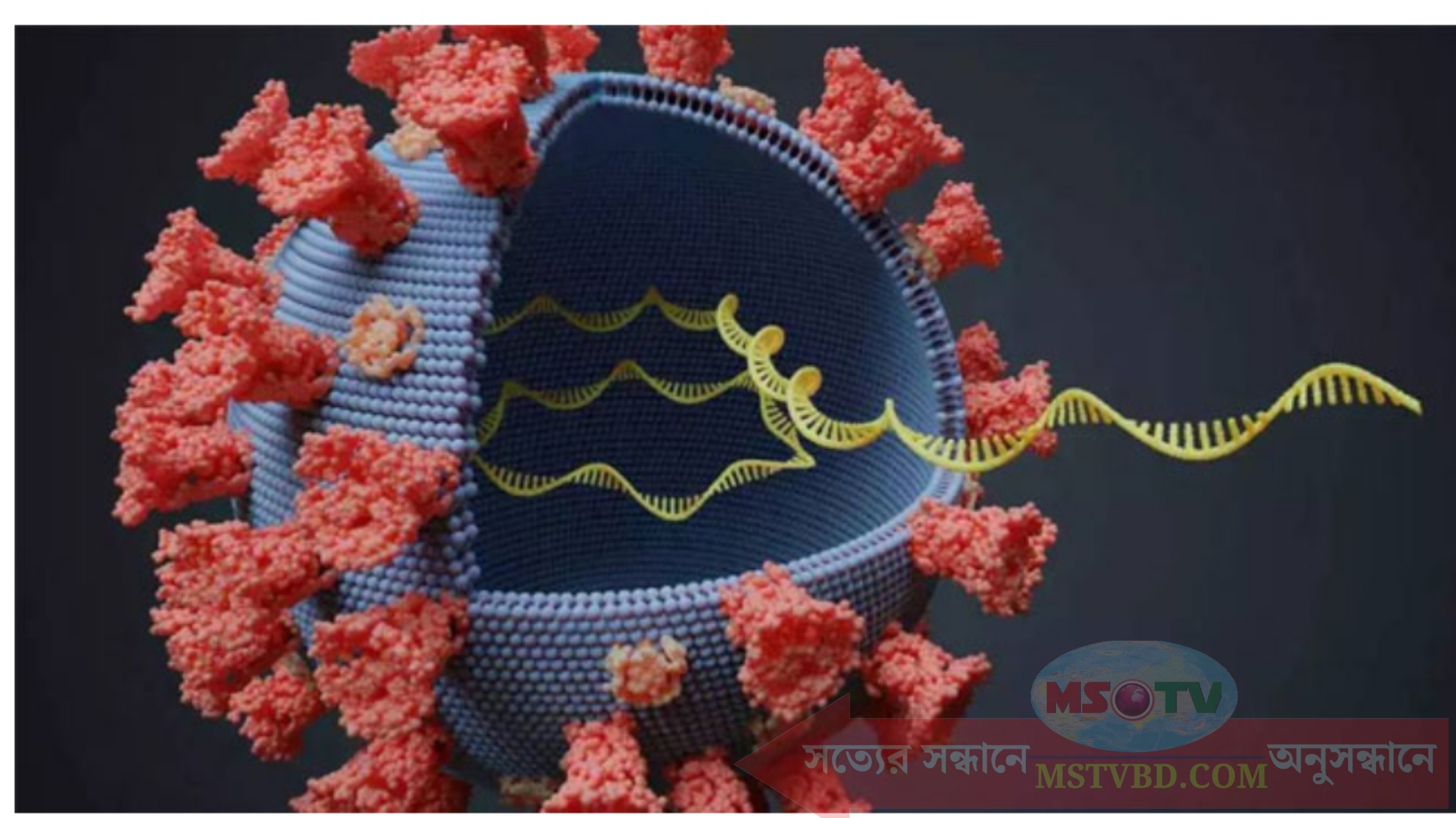 বিদ্যুতের গতিতে ইউরোপে ছড়াচ্ছে ওমিক্রন