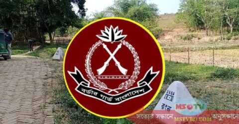 দেশে বিজিবির অভিযানে ১২০ কোটি টাকার চোরাচালান পণ্য ও মাদক জব্দ