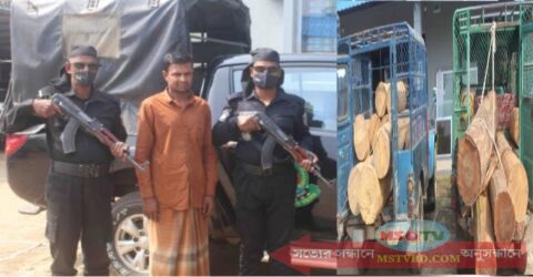 হবিগঞ্জে পুষ্পা স্টাইলে চুরি অতঃপর  র‌্যাব জালে ১০ লাখ  টাকার গাছসহ আটক