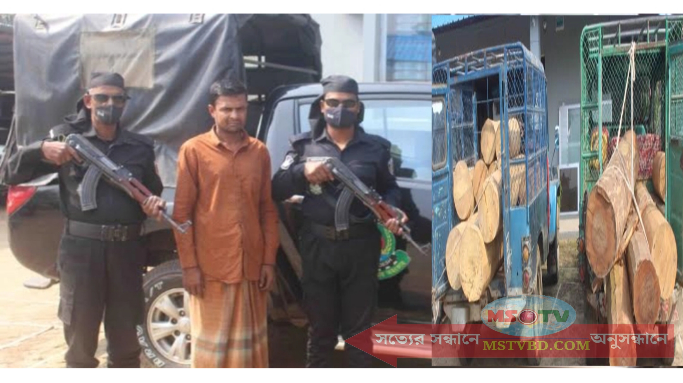 হবিগঞ্জে পুষ্পা স্টাইলে চুরি অতঃপর  র‌্যাব জালে ১০ লাখ  টাকার গাছসহ আটক