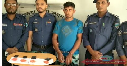 কসবায় ৮০০ পিস ইয়াবাসহ আটক এক মাদক ব্যবসায়ী