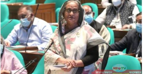দেশে নিত্যপণ্যের বাজারমূল্য উল্লেখযোগ্য হারে কমেছে: প্রধানমন্ত্রী