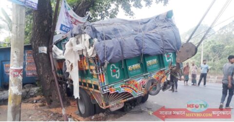ফেনীতে গাছের সঙ্গে ট্রাকের ধাক্কা, চালক নিহত