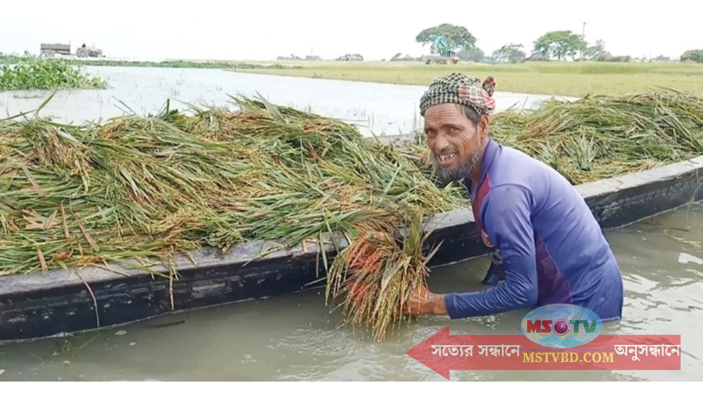 সুনামগঞ্জে বন্যায় ৫ হাজার হেক্টর জমির ফসল ক্ষতিগ্রস্ত