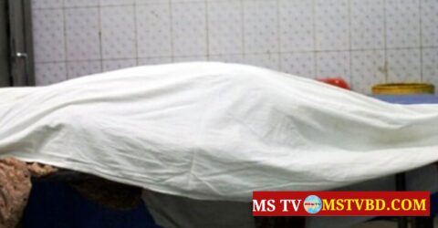 হবিগঞ্জে জমি নিয়ে বিরোধের জেরে ভাইকে কুপিয়ে হত্যা
