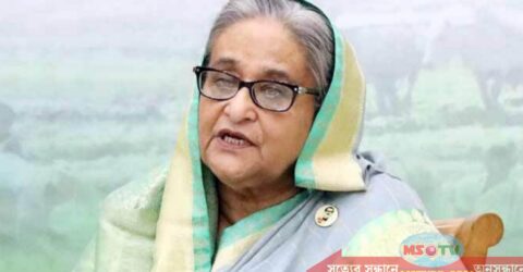 ফ্ল্যাটে বাস করে ফার্মের মুরগির মতো হয়ে যাচ্ছে শিশুরা: প্রধানমন্ত্রী