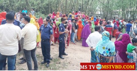 বগুড়ায় ডোবা থেকে নরসুন্দরের গলাকাটা মরদেহ উদ্ধার