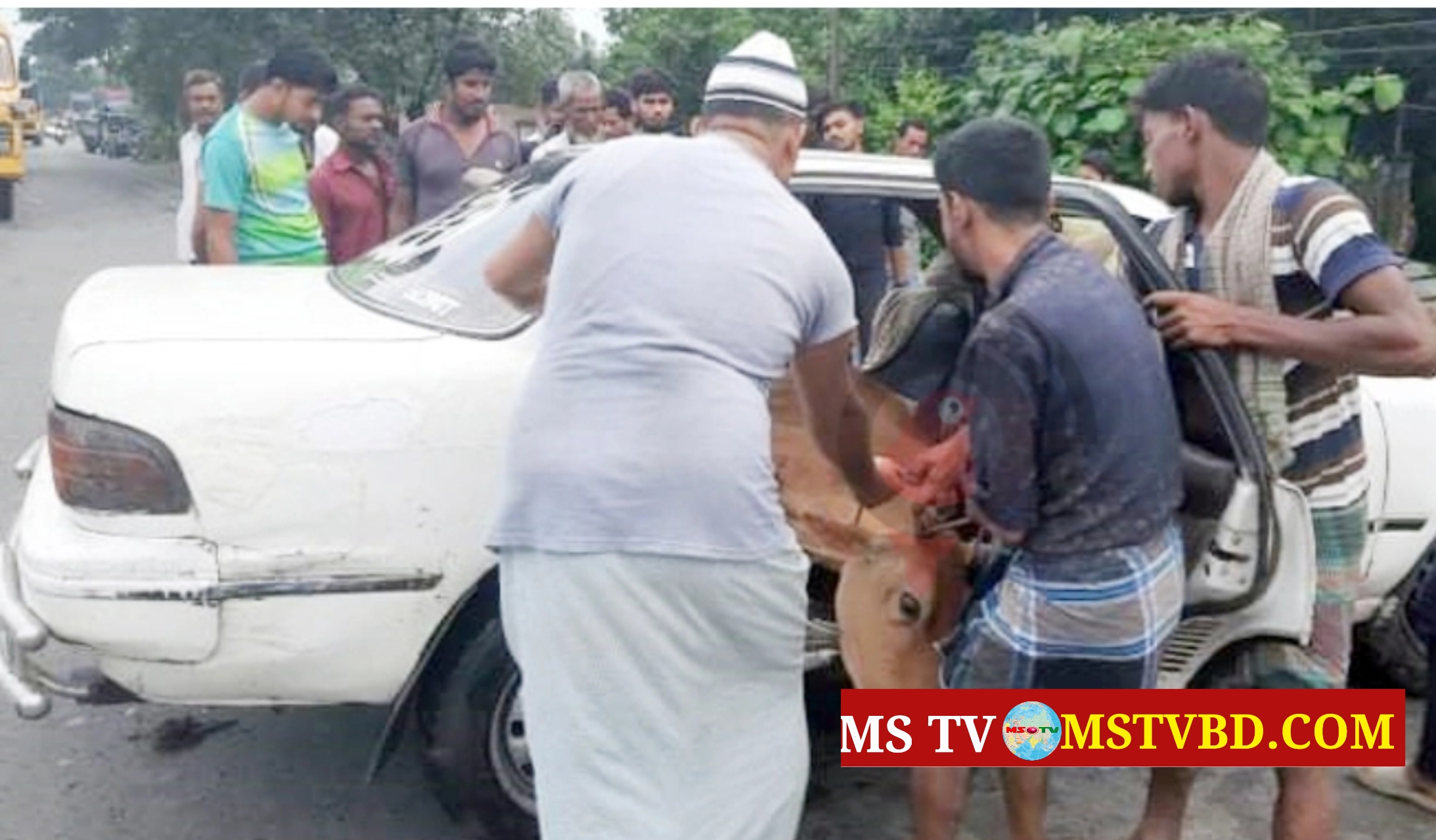 চট্টগ্রামে দুর্ঘটনাকবলিত প্রাইভেটকারে মিললো চুরির গরু