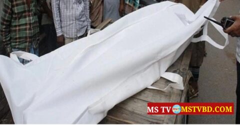 ছাগল বিক্রি করতে চাওয়ায় বড় ভাইকে কুপিয়ে হত্যা