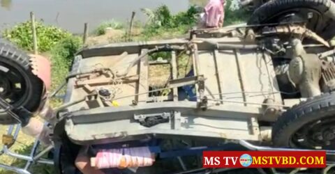 পিকআপের ধাক্কায় ইজিবাইকের ২ যাত্রী নিহত
