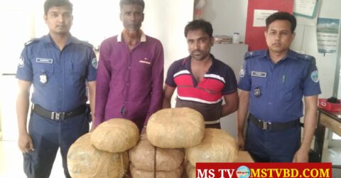 ফের কসবায় ১৬ কেজি গাঁজাসহ আটক ২