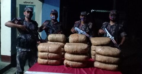 কসবায় বিজিবির মাদক বিরোধী অভিযানে ৪২ কেজি গাঁজা উদ্ধার
