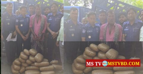 কসবায় ফের ৫০ কেজি গাঁজাসহ আটক এক