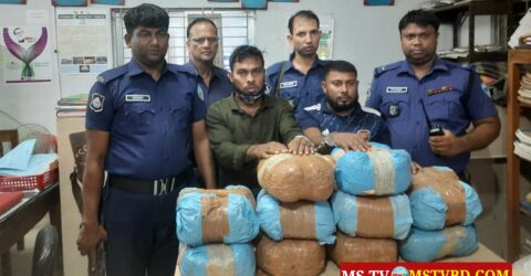 কসবায় ফের ২০ কেজি গাঁজাসহ আটক ২