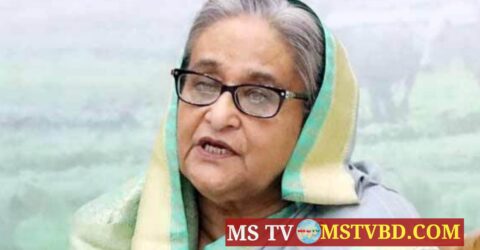 দেশের স্বাস্থ্য খাতে উল্লেখযোগ্য অগ্রগতি হয়েছে: প্রধানমন্ত্রী