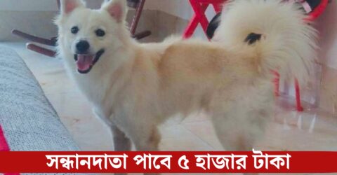 ঝিনাইদহে কুকুরের সন্ধান চেয়ে থানায় সাধারণ ডায়েরি