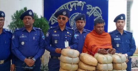 কসবায় ফের ৩৪ কেজি গাঁজাসহ আটক এক