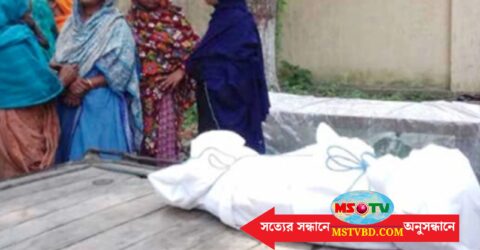 বালিয়াকান্দিতে ট্রাক ওভারটেক করতে গিয়ে মোটরসাইকেল উল্টে শিশু নিহত