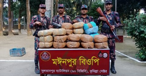 কসবায় বিজিবি’র মাদক বিরোধী বিশেষ অভিযানে ৫৪ কেজি গাঁজা উদ্ধার
