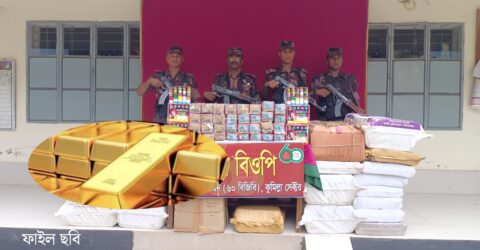 ২৮২ কোটি টাকার চোরাচালান পণ্য জব্দ করেছে বিজিবি