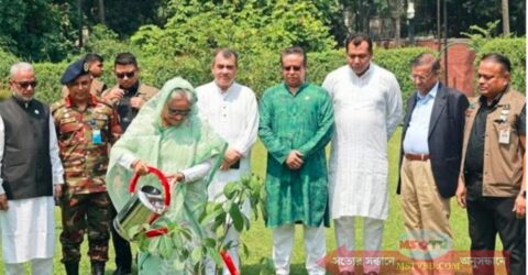গাছ লাগাতে দেশবাসীর প্রতি প্রধানমন্ত্রীর আহ্বান
