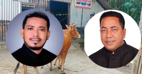 প্রতিটি গরু থেকে চাঁদা নিচ্ছেন স্থানীয় ইউপি চেয়ারম্যান: আজমল