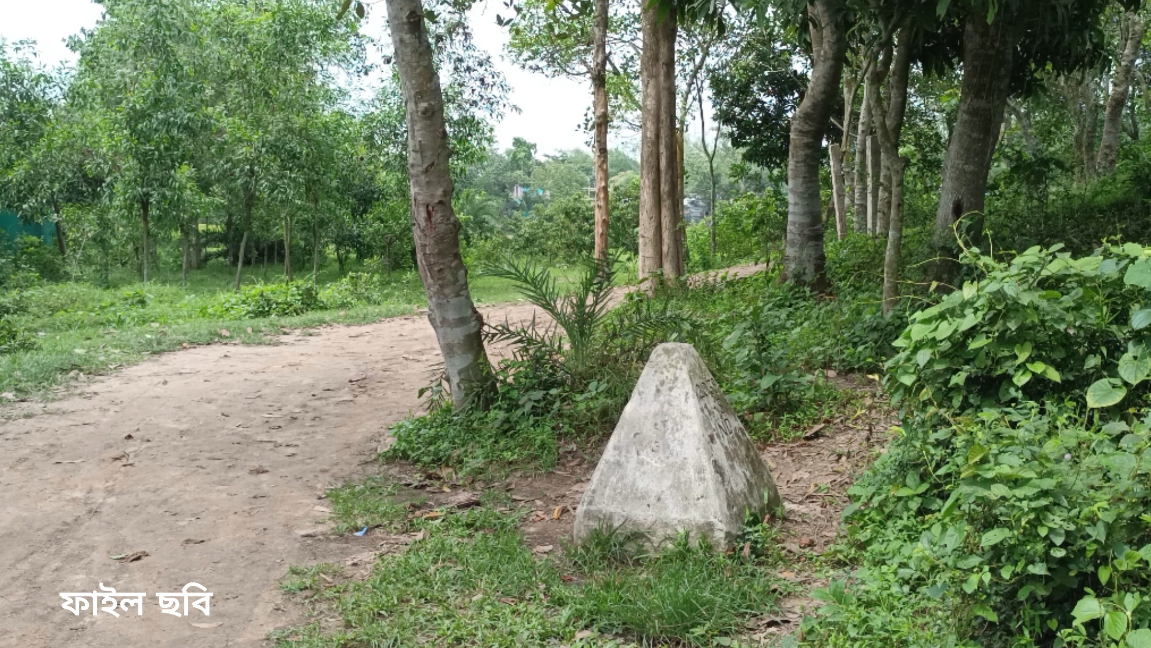স্বাধীনতা দিবসেও সীমান্তে বিএসএফের গুলিতে বাংলাদেশি যুবক নিহত