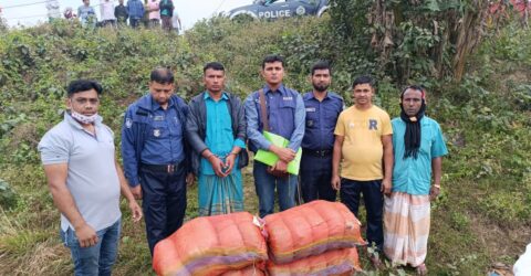 কসবায় ফের ৫০ কেজি গাঁজাসহ আটক ১